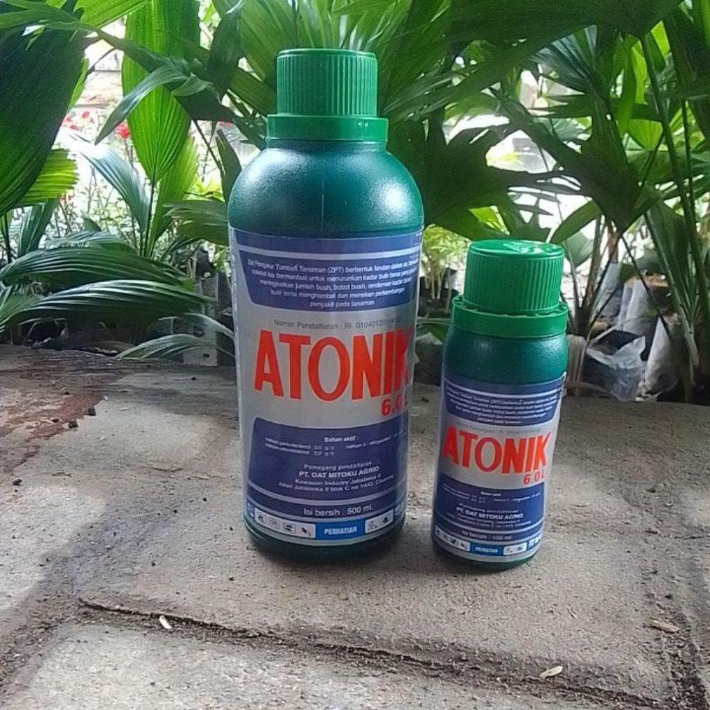 PUPUK ATONIK ORIGINAL 500-100ML| PUPUK CAIR Pertumbuhan tanaman