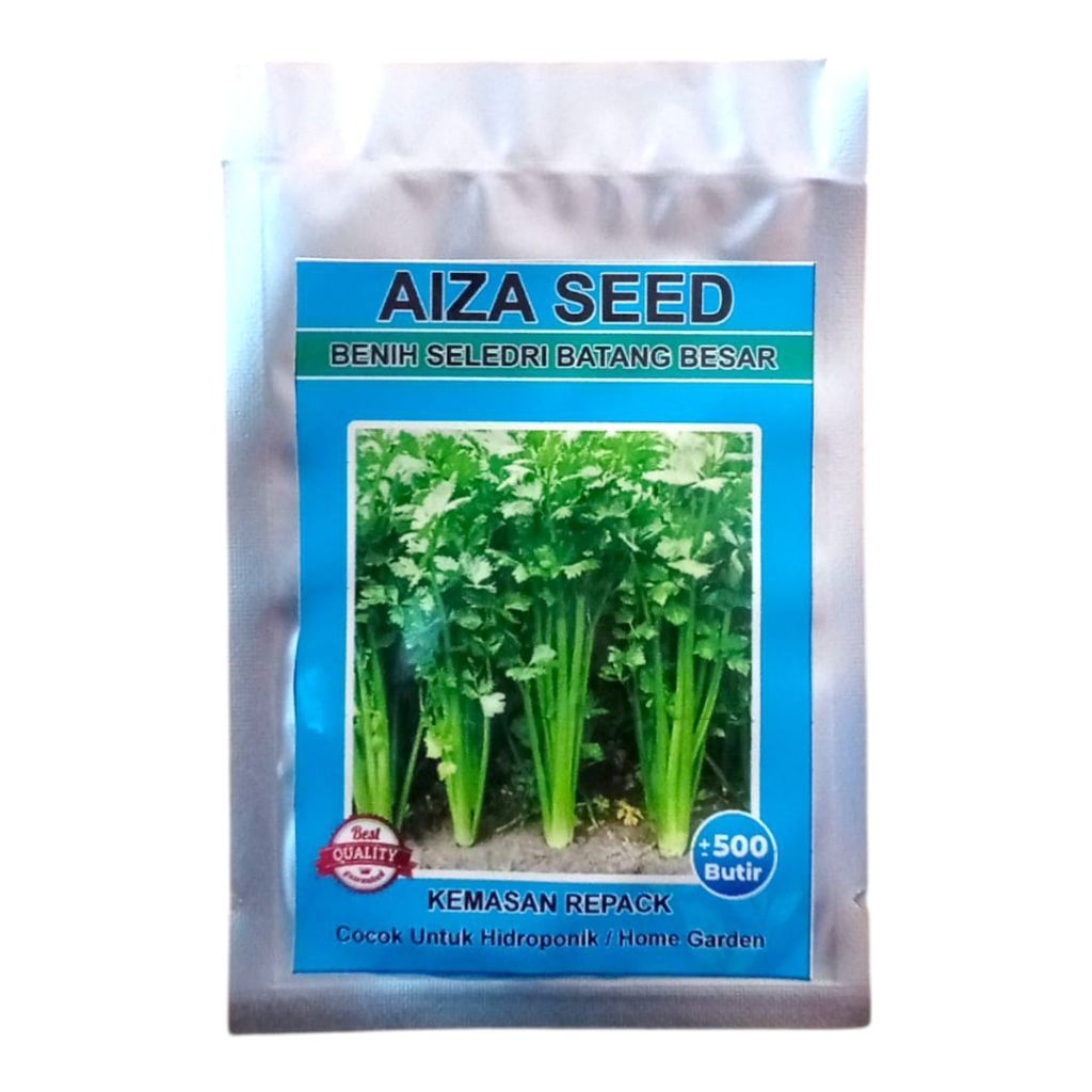 Benih Seledri Batang Besar Bibit Seledri Kemasan Repack