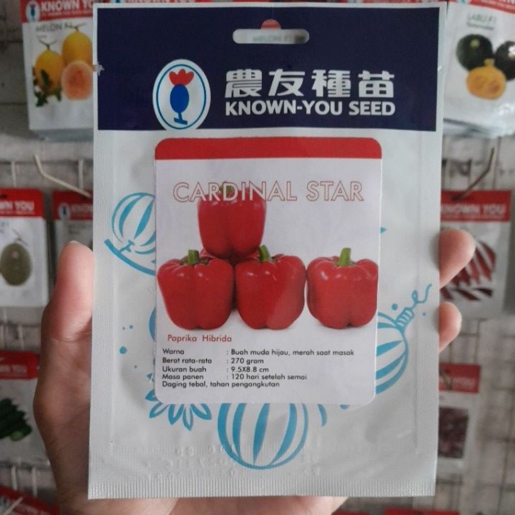 Benih Paprika Merah CARDINAL STAR F1 Isi 100biji , Paprika hibrida original Expired Juli 2027