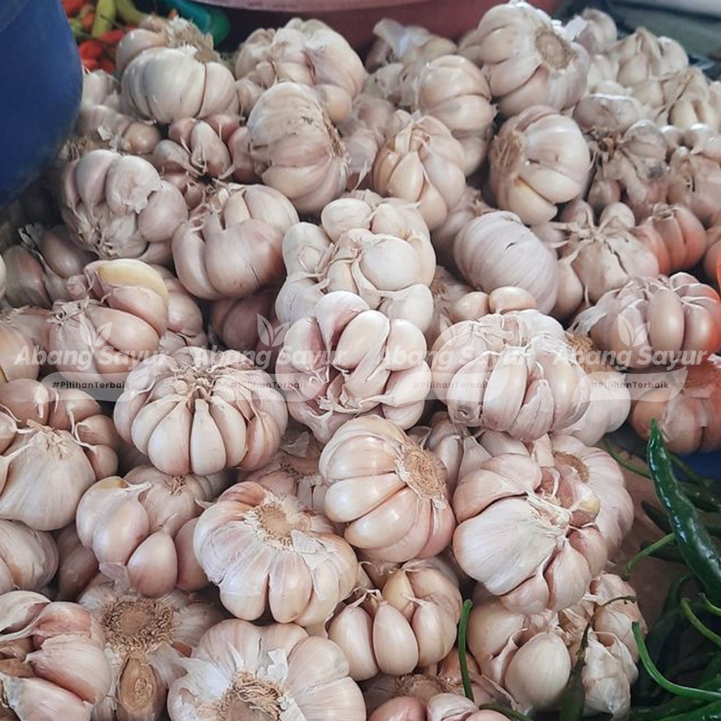 

Bawang Putih 500gr – Kirim Instant Bandung Sayur Segar (Fresh Harian) - Bumbu Serbaguna Dapur Harian