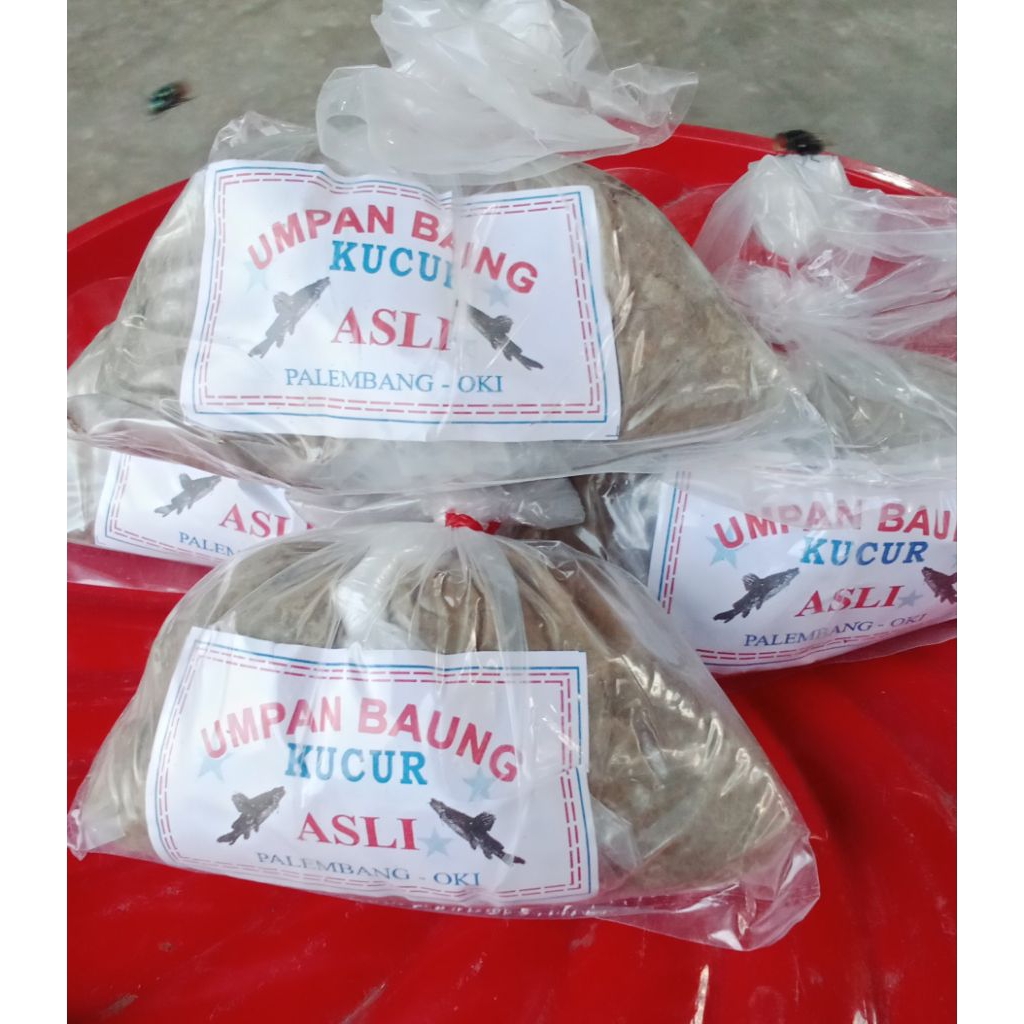 kucur asli Palembang oki