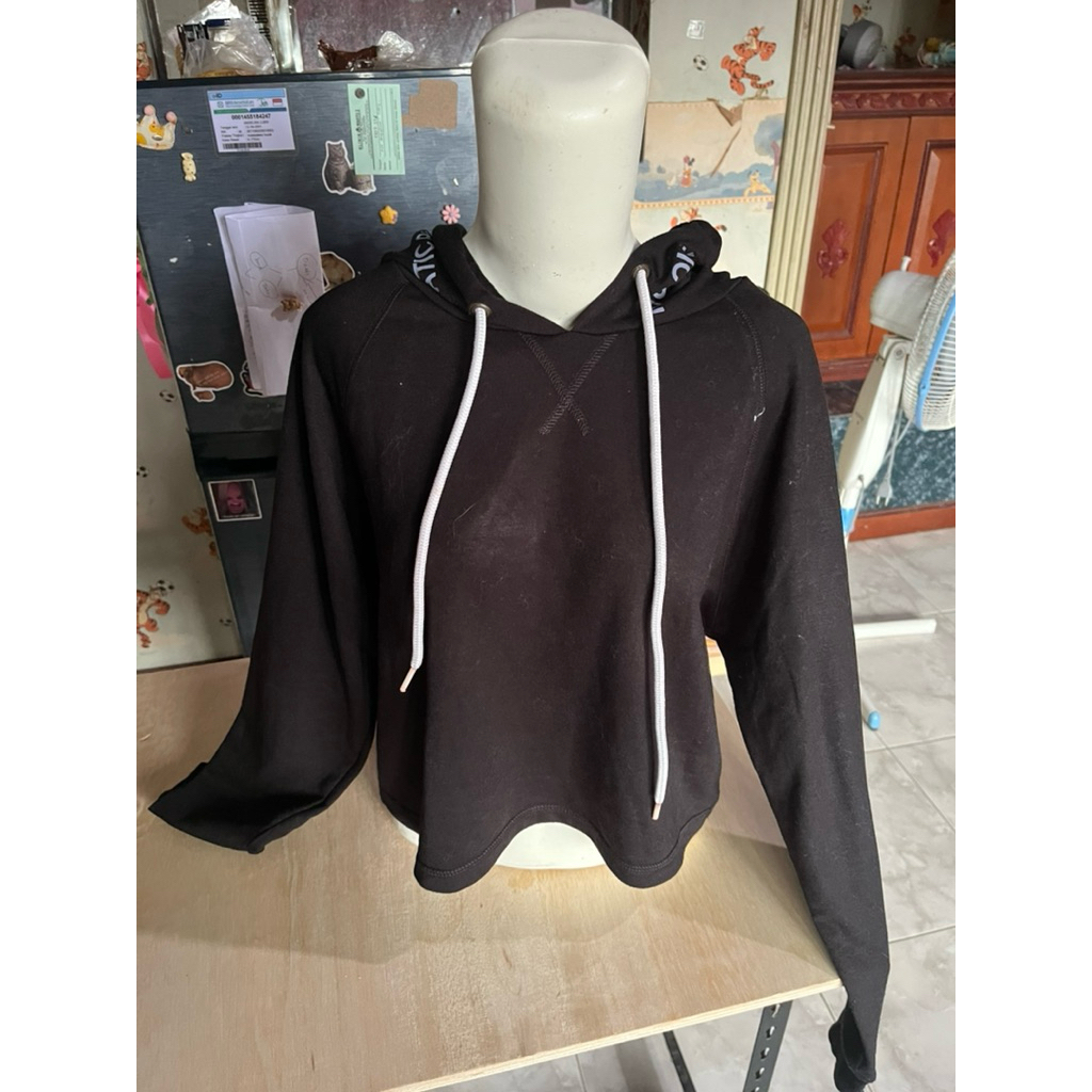 PRELOVED COLORBOX CROP HOODIE