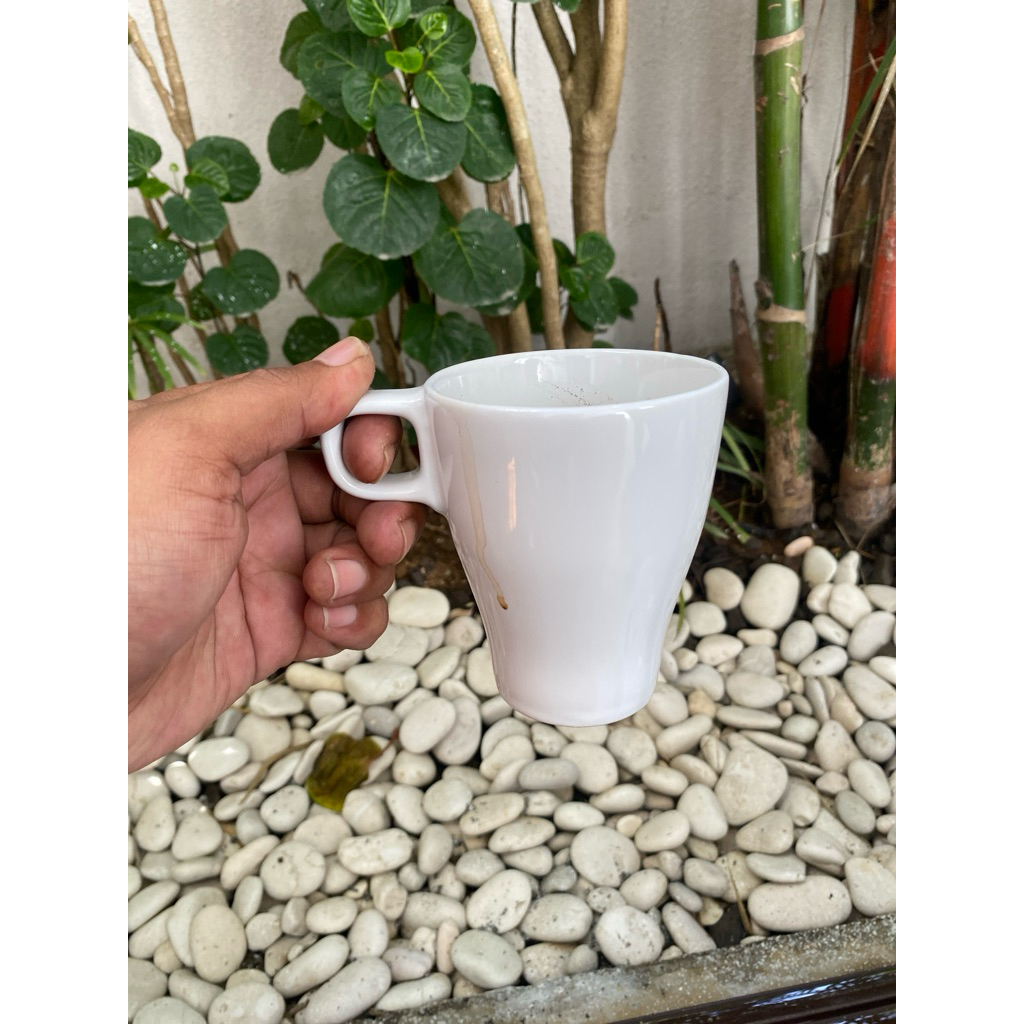 cangkir limbata rim tebel