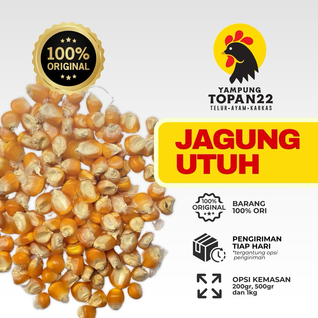 

Jagung utuh pakan ayam bebek (200gram , 500gram, 1KG)