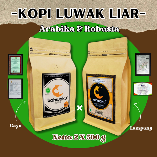 

Kopi Luwak Liar Asli Sumatera 500gr Arabika Gayo & 500gr Robusta Lampung Paket Exclusive & Authentic