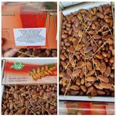 

(Paket murah) 3pcs Kurma Tunisia Tangkai kemasan 500gr original tunisia