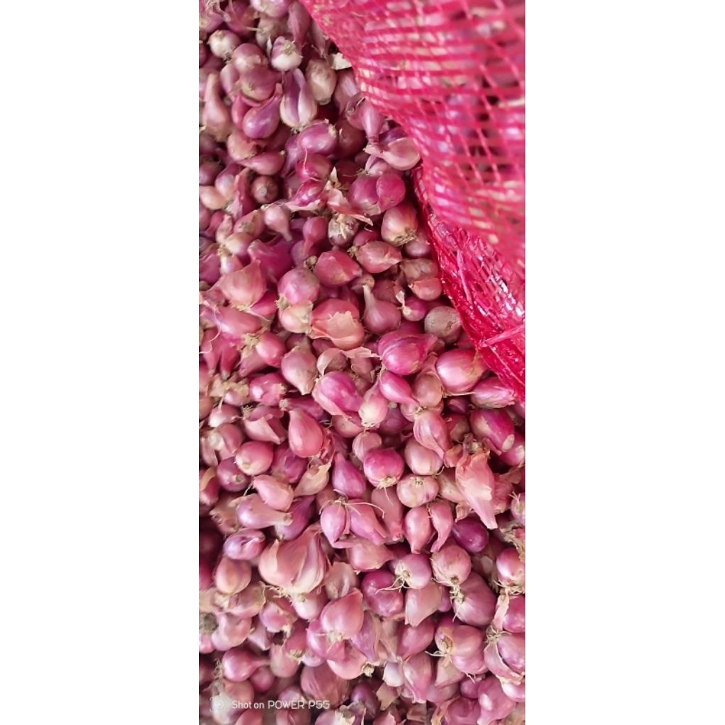 

bawang merah campur tanggung+kecil 1kg