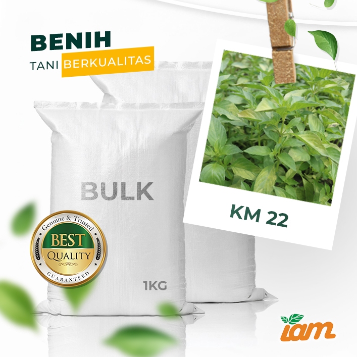 

BULK 1kg – kemangi OP (KM 22)