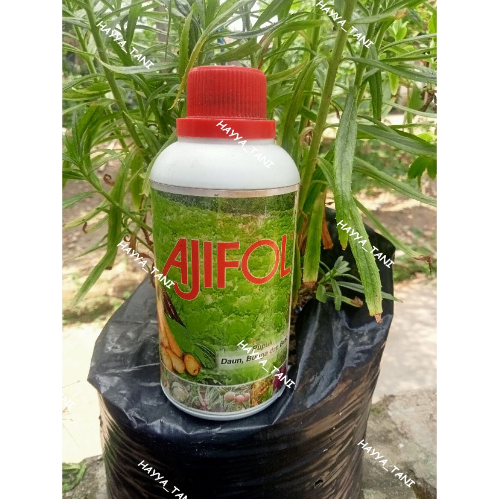 AJIFOL Pupuk Daun Bunga dan Buah