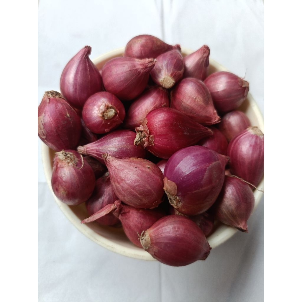 

BAWANG MERAH PROBOLINGGO