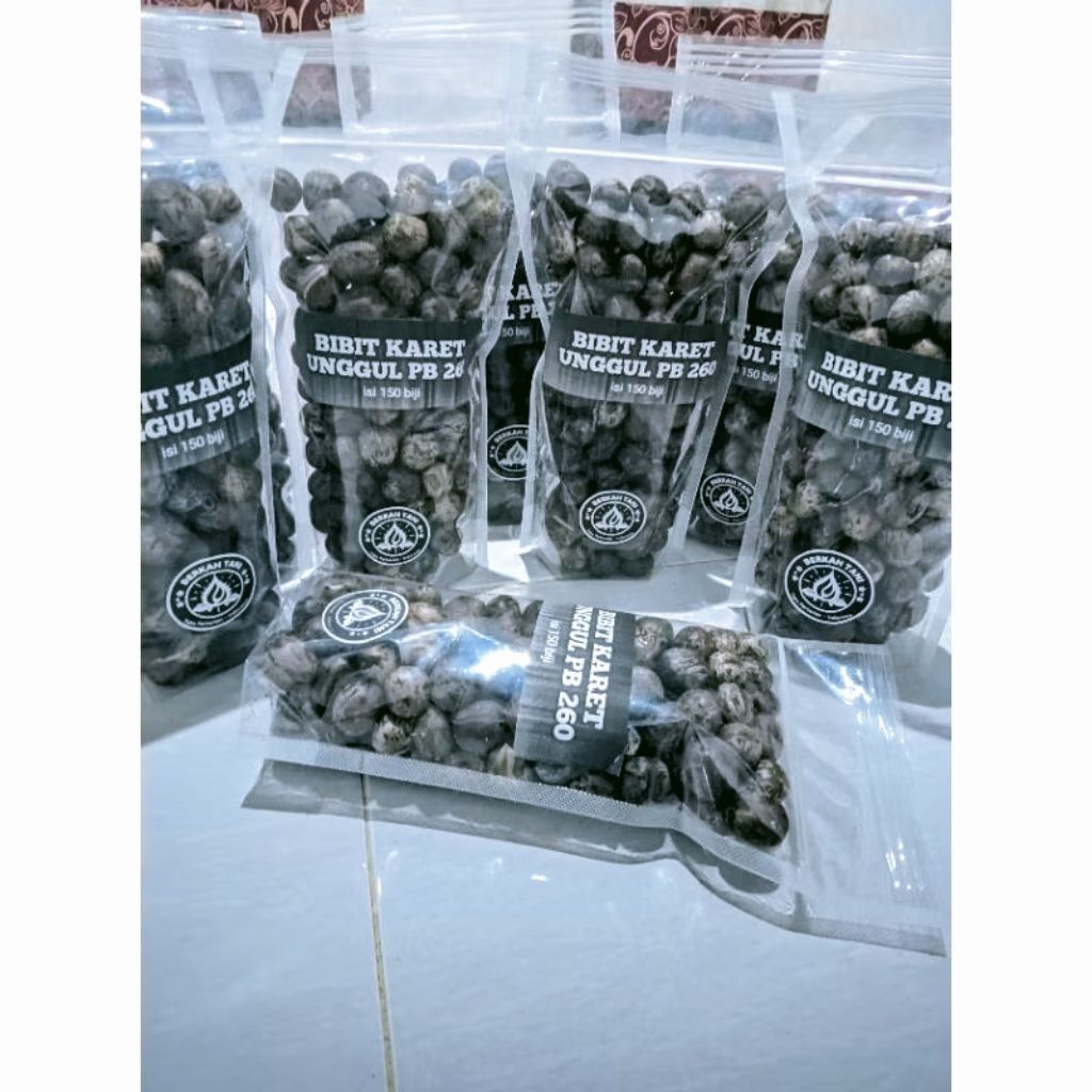 BIBIT karet UNGGUL PB 260 isi 150