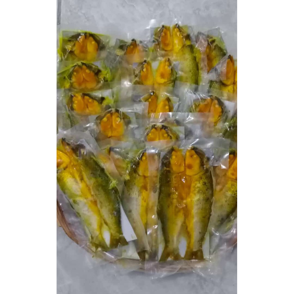

READY BANDENG PRESTO KEMASAN VAKUM ISI 2 dan 3