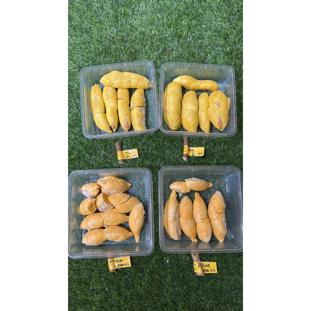 

Buah Durian Udang Merah Malaysia Fresh Import