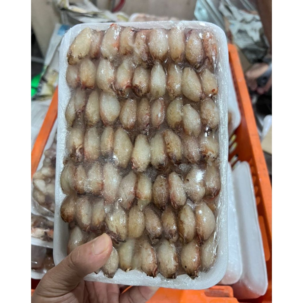 

Daging PAHA kepiting bersih tanpa cangkang 500gr