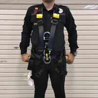 Avao Bod Hurness Petzl original