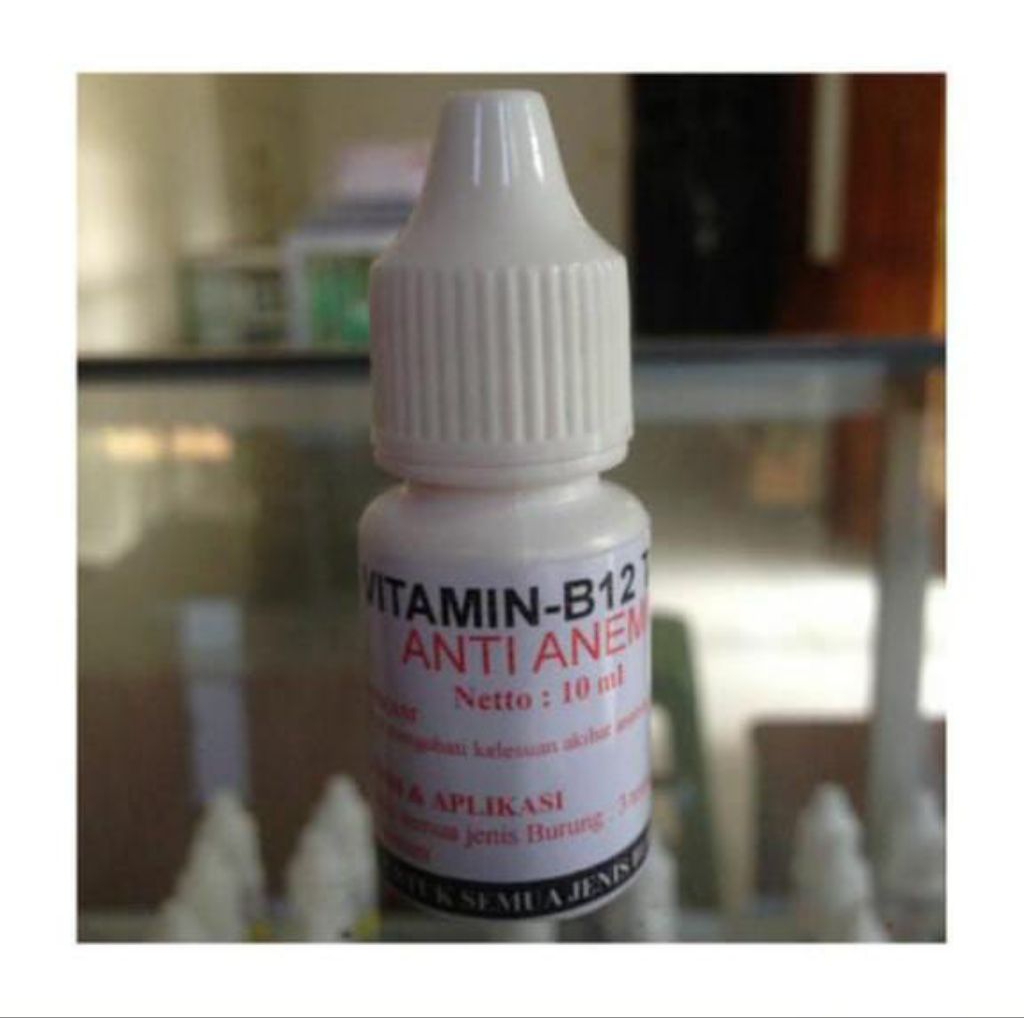 VITAMIN - B12 Obat Anemia Untuk Hewan