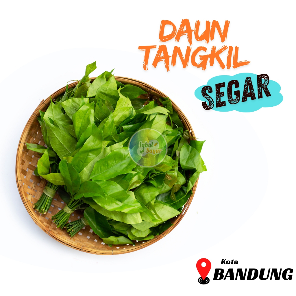 

Daun Melinjo / Daun Tangkil Segar Bandung