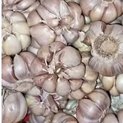 

Bawang putih 1 kg