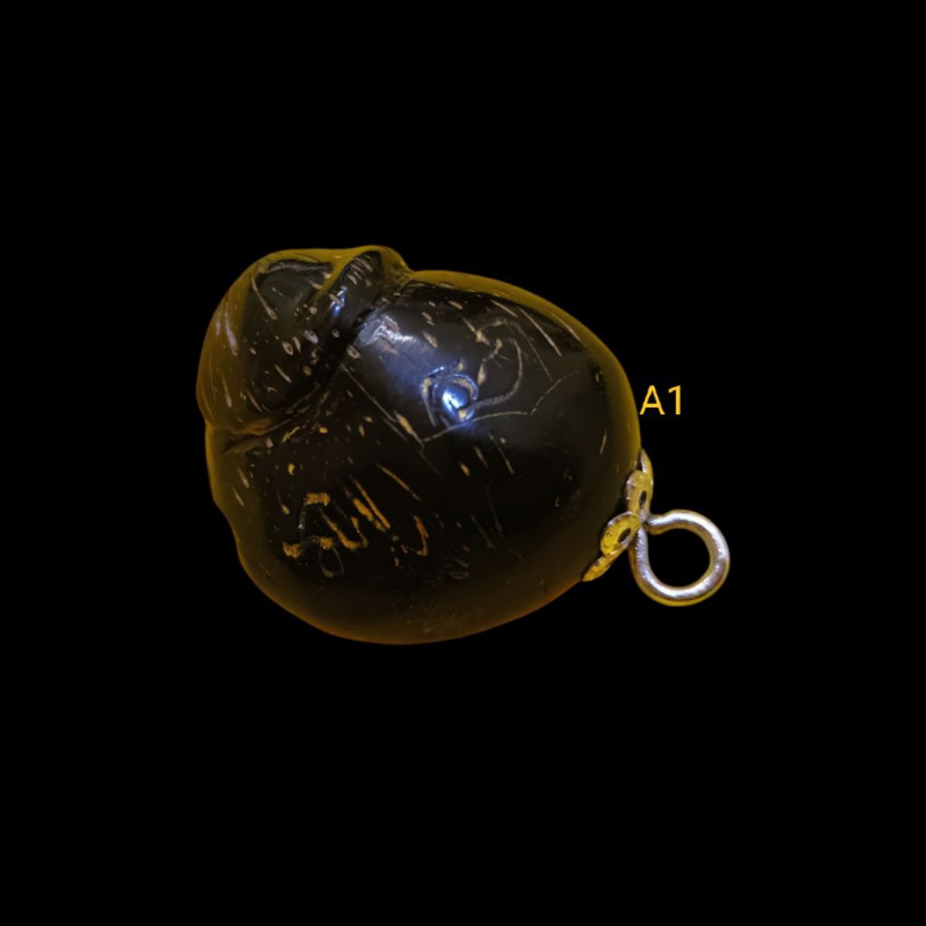 Palakit Kelapa Baby / Lp Somporn / Lp Yai