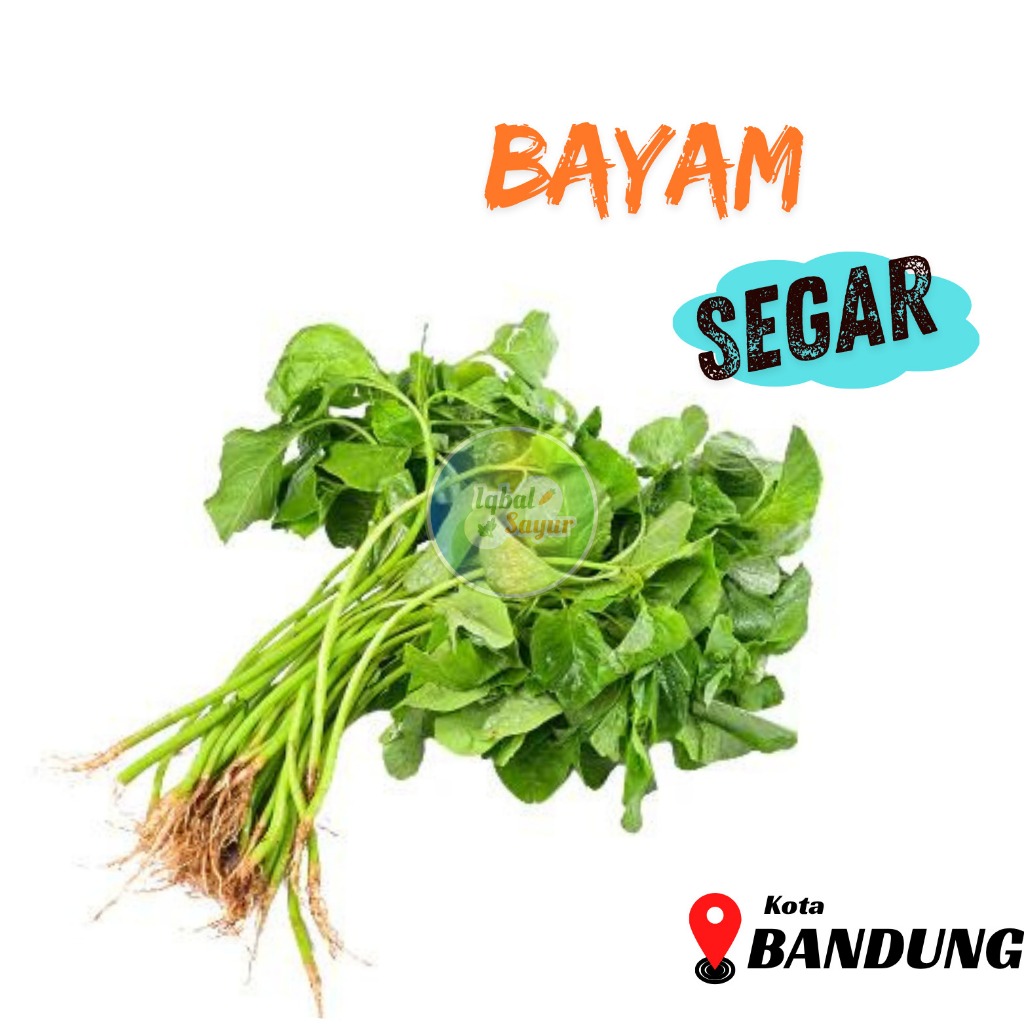 

Bayam Segar Per Ikat Bandung