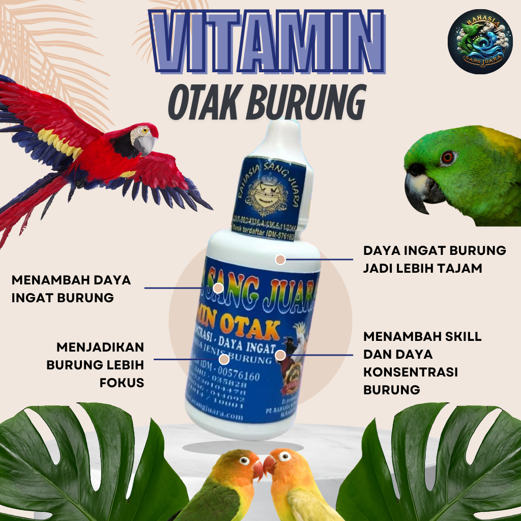 Vitamin Otak Burung 30ml - Suplemen Khusus Otak untuk Menambah Daya Ingat dan Konsentrasi Burung Leb
