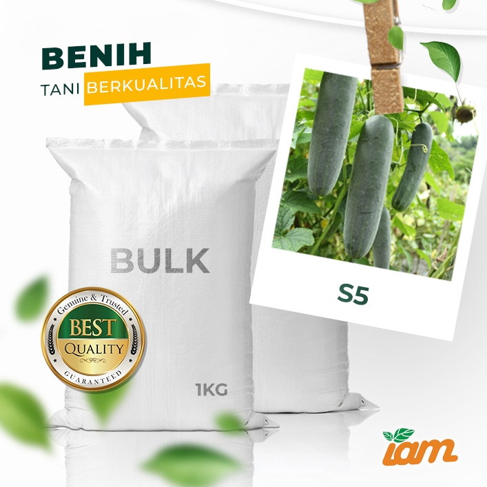 

BULK 1kg – timun F1 (S5)