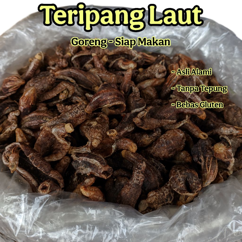 

Teripang Laut Goreng Asli Madura 100g | Camilan Alami Tanpa Tepung Bebas Gluten Haisom Kerupuk Kripik