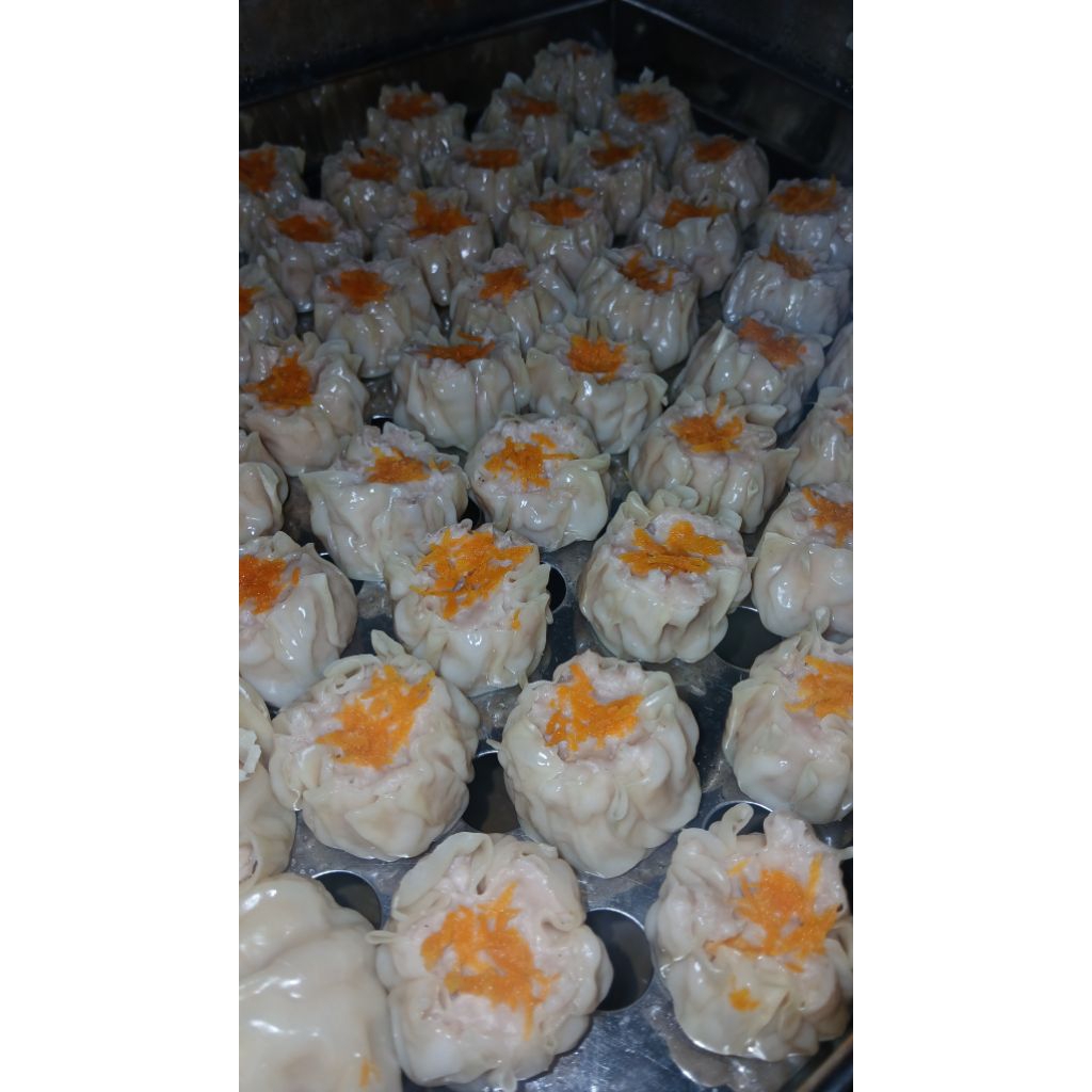

dimsum frozen