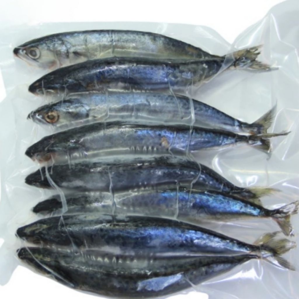 

Kode J. Ikan Kembung Banjar Beku Frozen