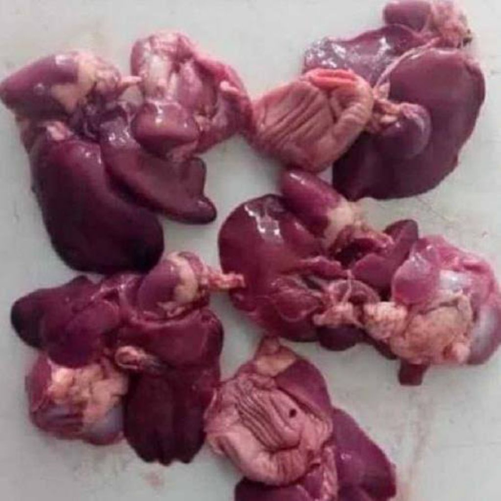 

hati ampela ayam segar