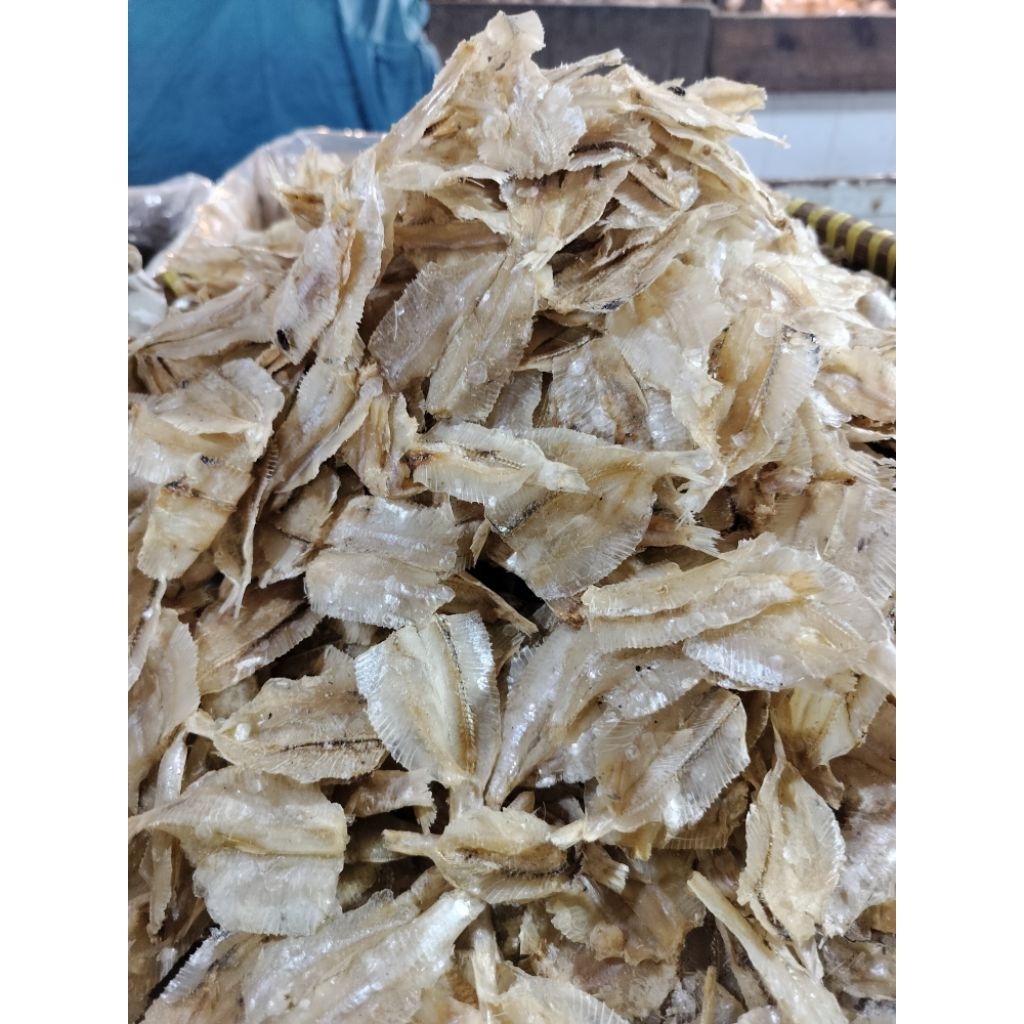 

IKAN ASIN PAKANG