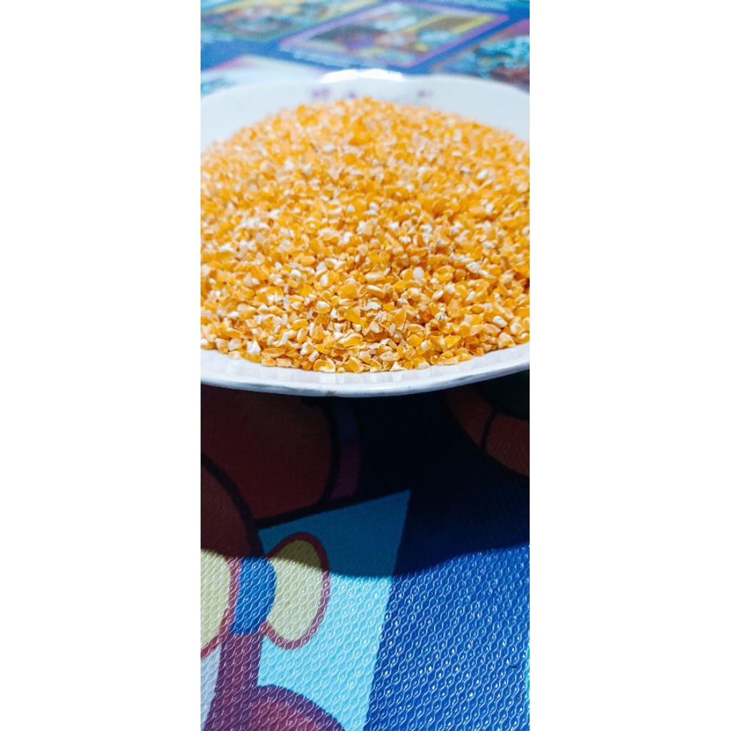 

Beras jagung solusi diet 100 % muri fres langsung dari pengiling 500 gram