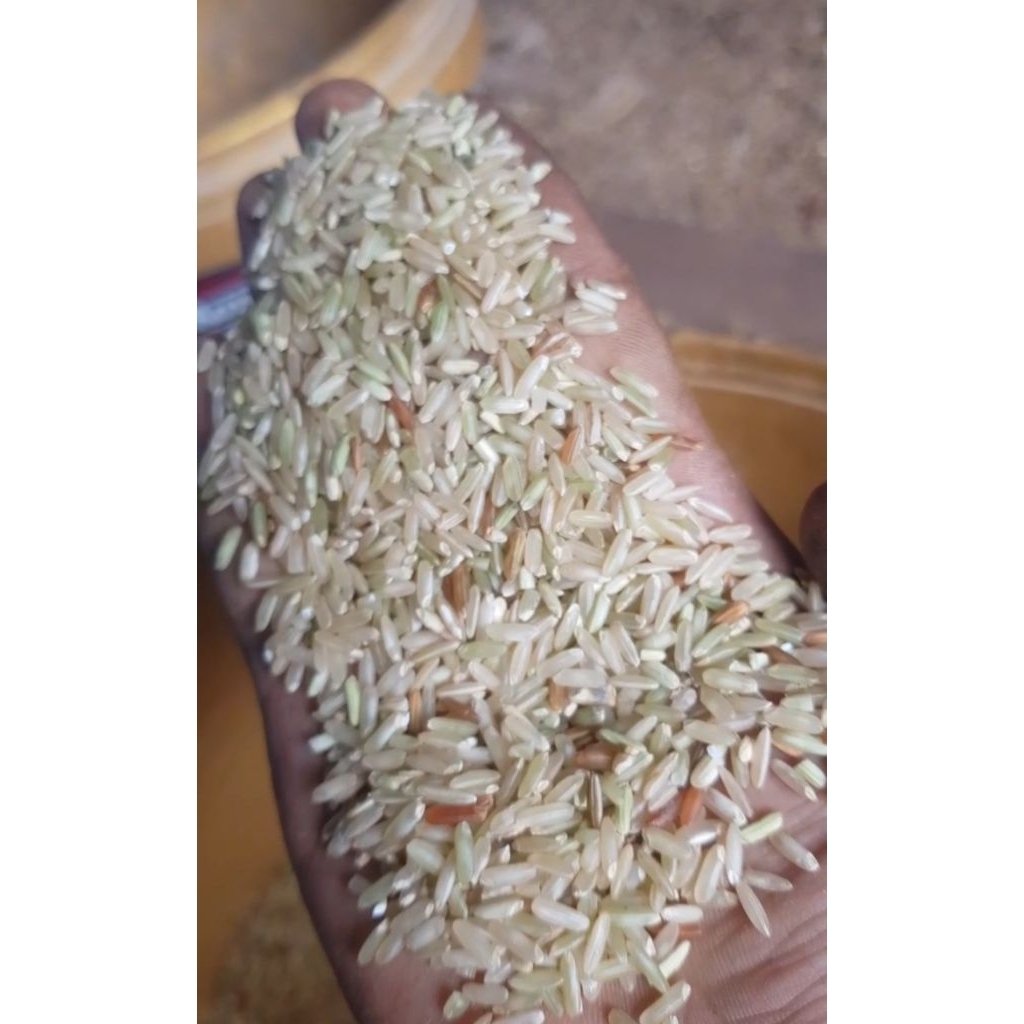 

Beras Coklat kemasan 1 kg