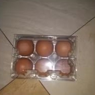 

Telur Ayam Negeri Curah
