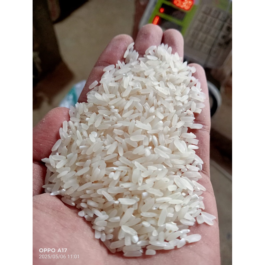 

Beras Premium Rojolele 5Kg – Pulen, Wangi, Tanpa Campuran