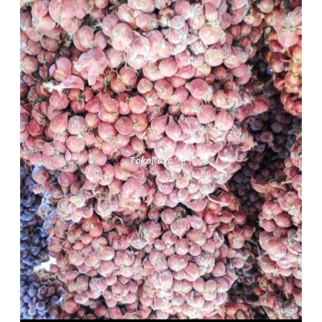 BIBIT Bawang Merah L3  ASLI dari petani centra Bawang Merah NGANJUK (SIAP TANAM)