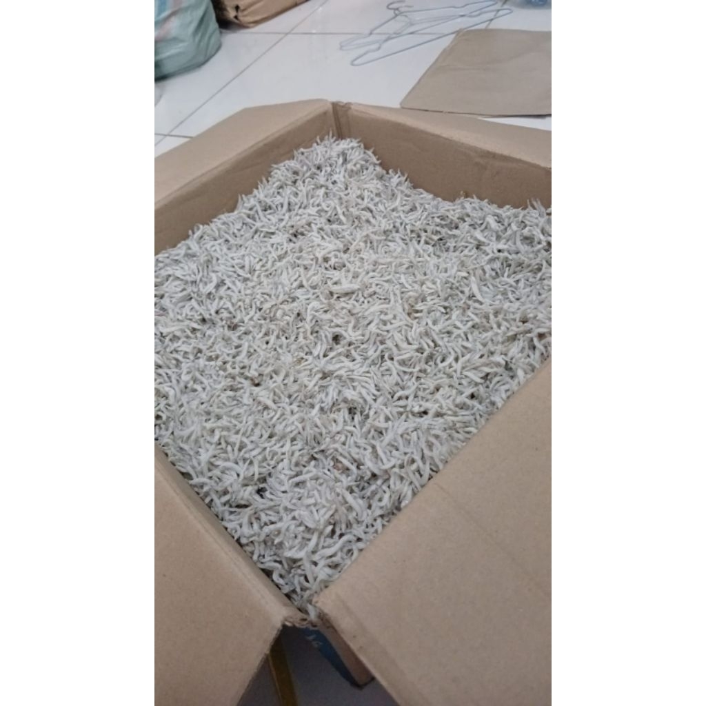 

TERINASI Medan premium650 gram/TERINASI SEGAR/TERINASI MURAH