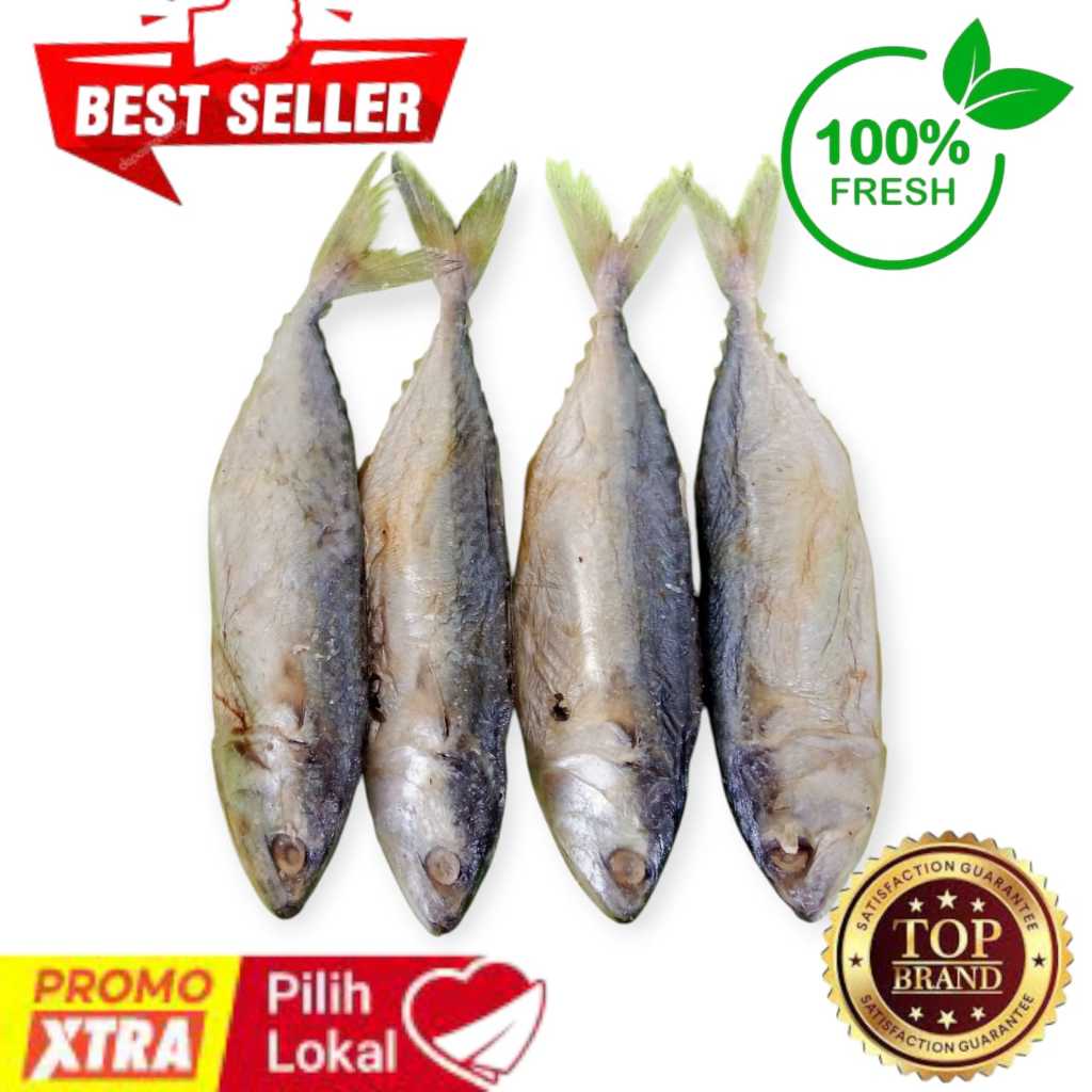 

IKAN ASIN PEDA MERAH/IKAN PEDA MERAH/PEDA MERAH 200 GRAM