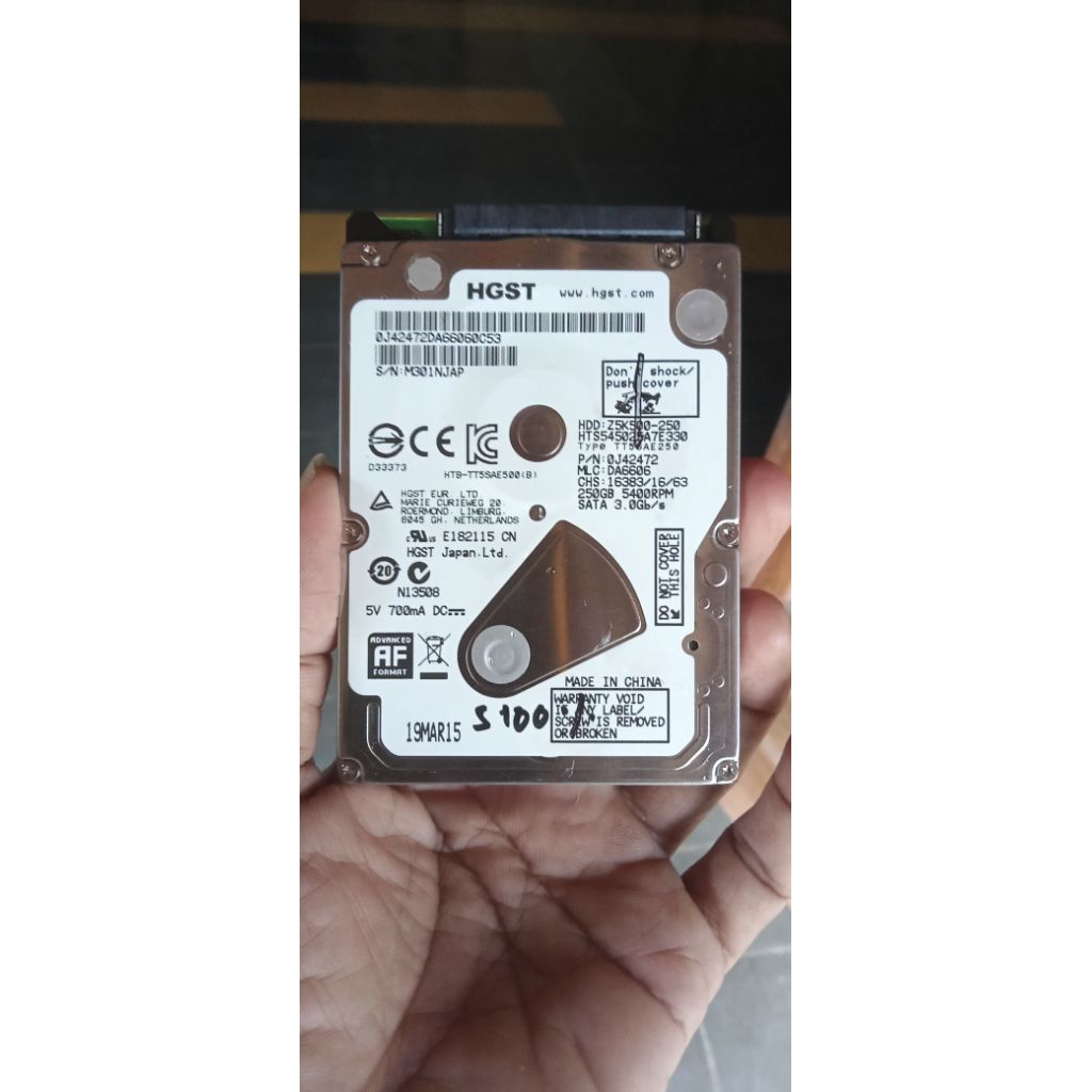 Hardisk 250GB
