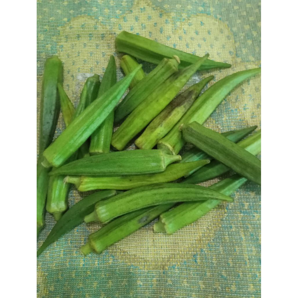 

SAYUR OCRA OKRA BENDI LADIES FINGERS segar