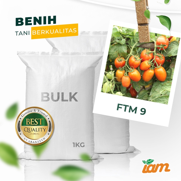

BULK 1kg – tomat l F1 (FTM 9)
