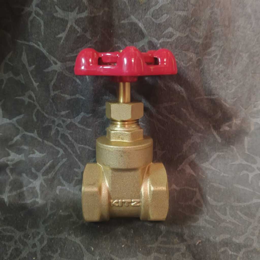 Gate Valve Brass 3/4" DN20 PN16