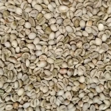 

Biji kopi kering bisa disimpan lama 500 gr