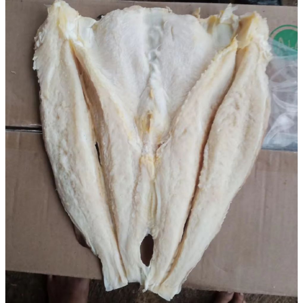 

promo ikan asin jambal murah