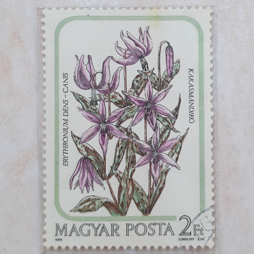 

Perangko Hungaria Lily Family (Dog's Tooth Violet (Erythronium denscanis)) Tahun 1985