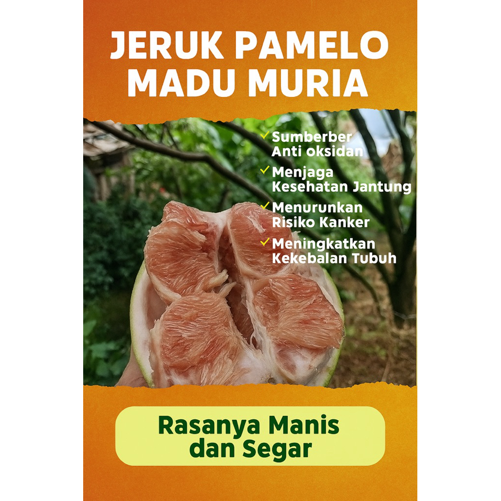 

jeruk pamelo madu asli muria berat 1kg -1,3kg manis segar