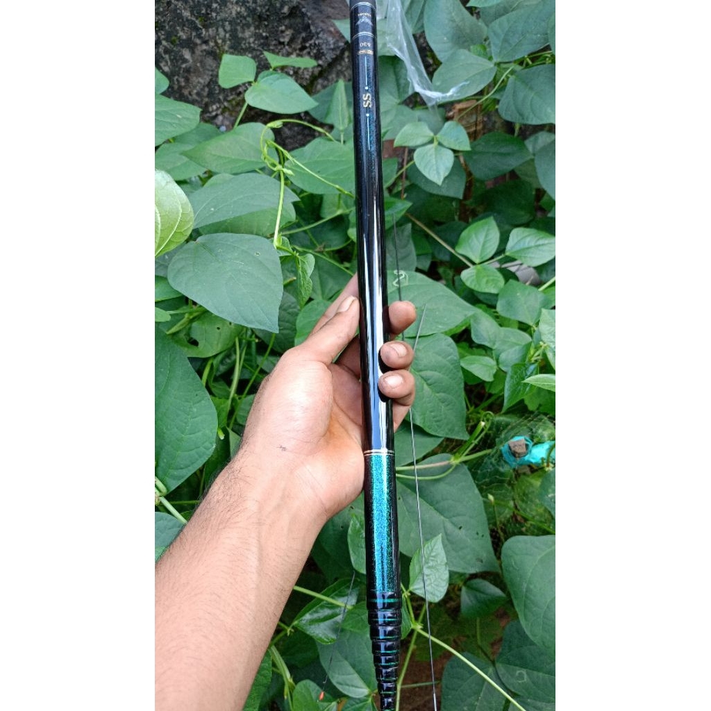 tegek ss reborn reborn