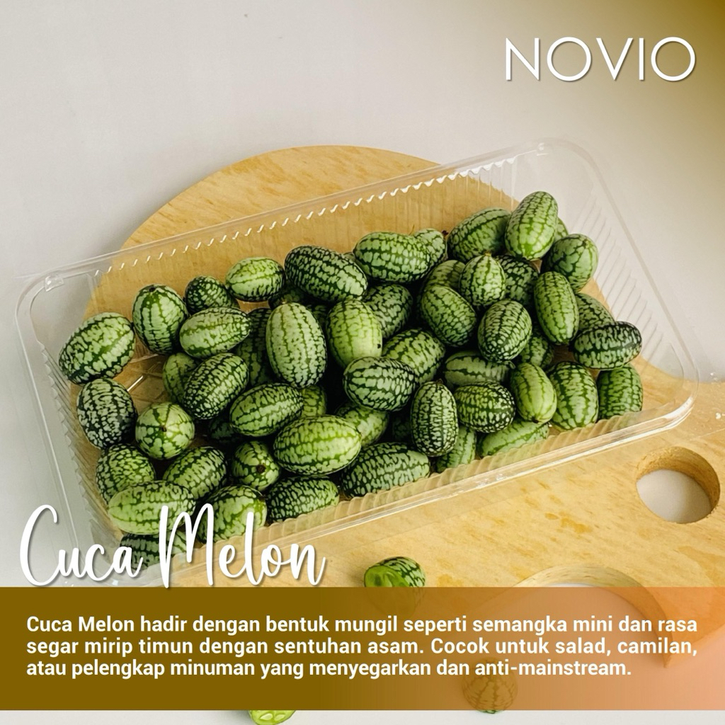 

cuca melon fresh / cuca melon/ fresh