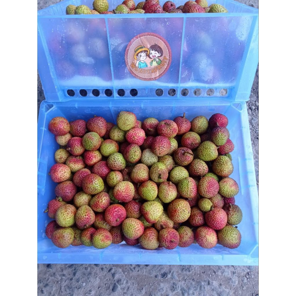 

LECI MADU FRESH DAGING TEBAL BIJI KECIL 1KG