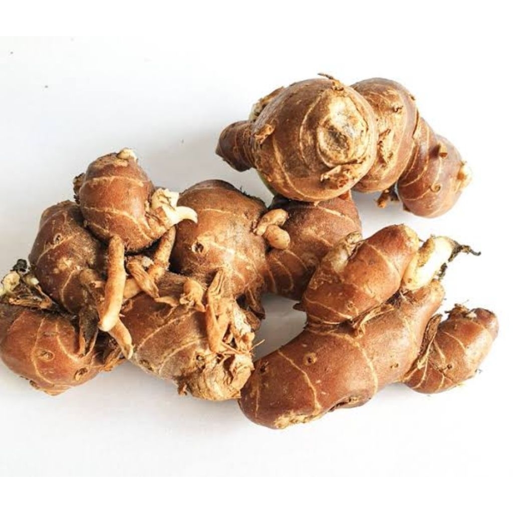 

100 gram Kencur Cikur Segar